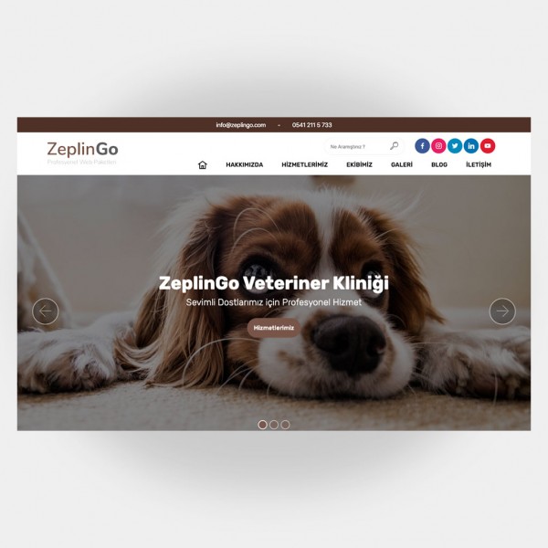 Veteriner Web Sitesi V1