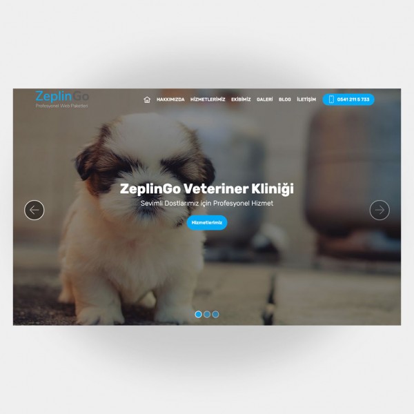 Veteriner Web Sitesi V4