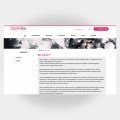 Pastacı Web Sitesi V2 4