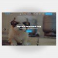 Veteriner Web Sitesi V4 1
