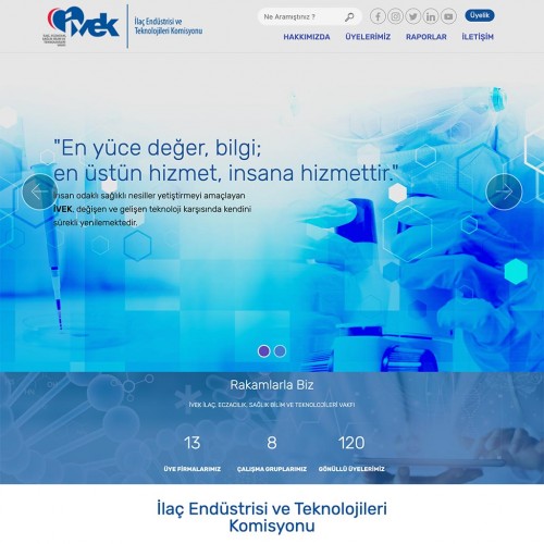 https://www.ivekietk.org.tr/