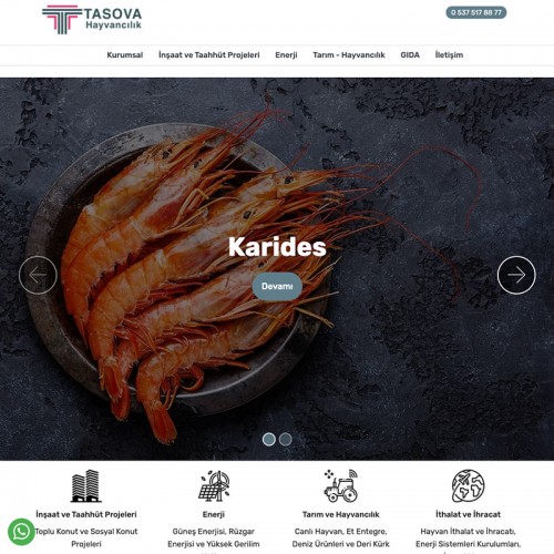 Tasova Hayvancılık