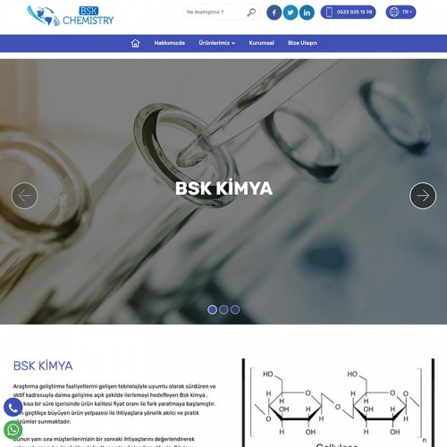 https://www.bskkimya.com/