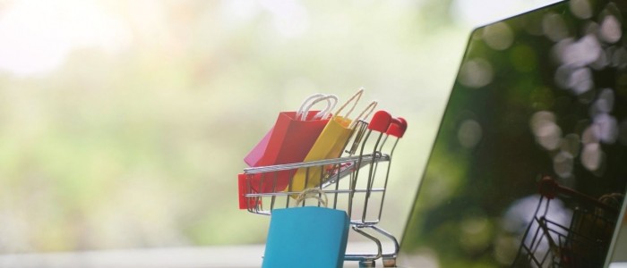 E-Alışveriş Sitesi Kurmak