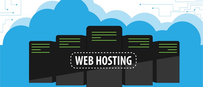 Hosting Nedir ?