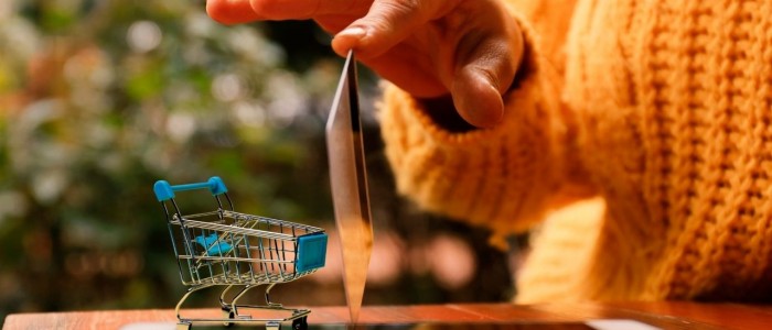 İnternet Satış Sitesi Açmak