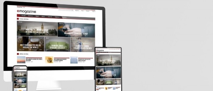 Web Tasarım Şirketi