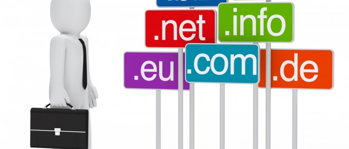 Domain Nedir ?