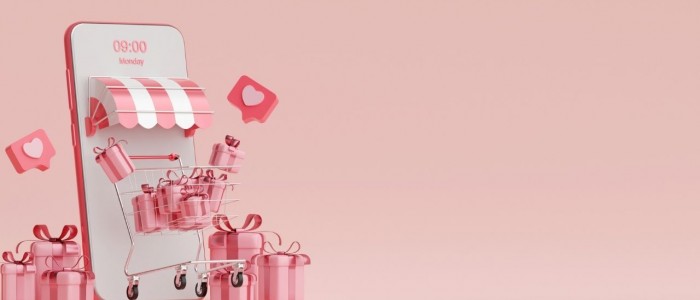 Satış Sitesi Nasıl Kurulur