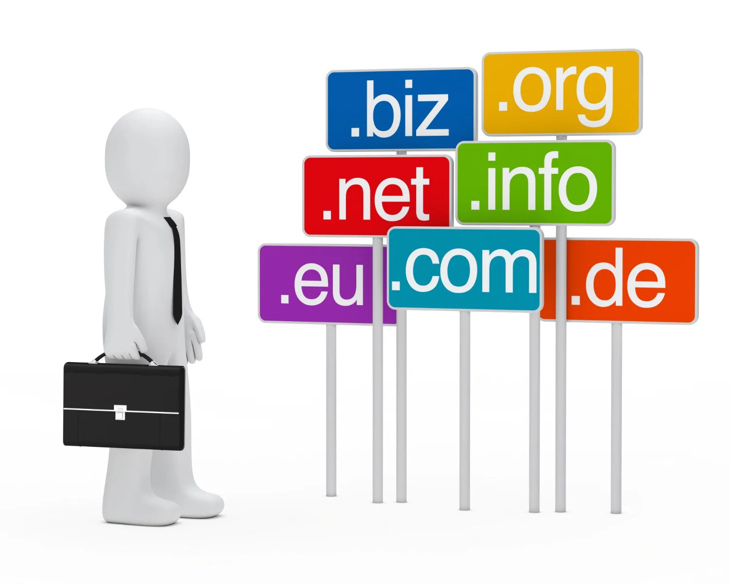 Domain Nedir ?