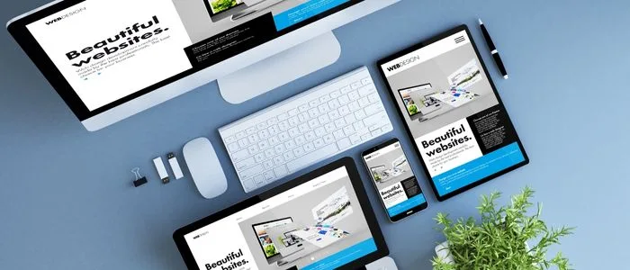 Web Sitesi Açmak