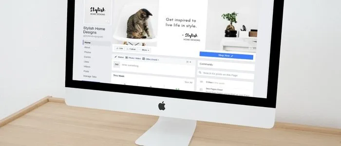Web Sitesi Kurulumu