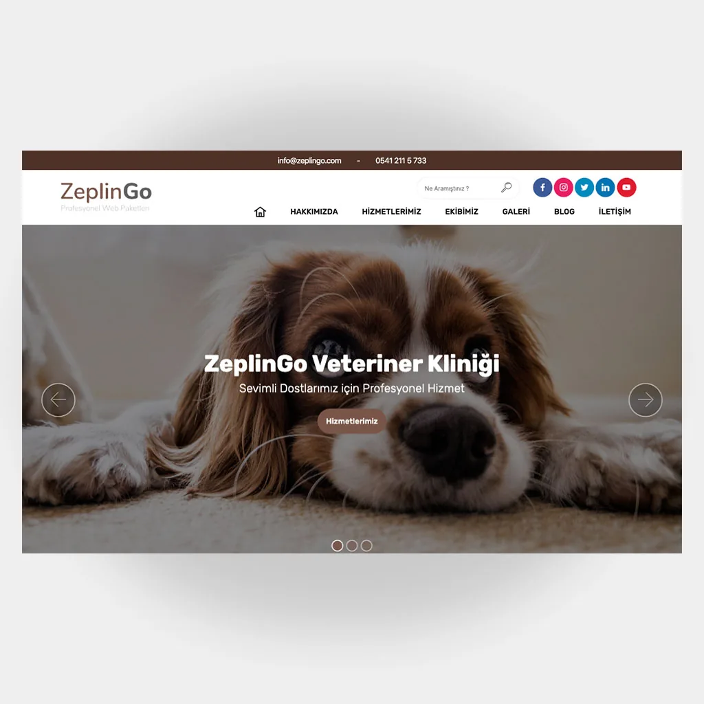Veteriner Web Sitesi Tasarımı
