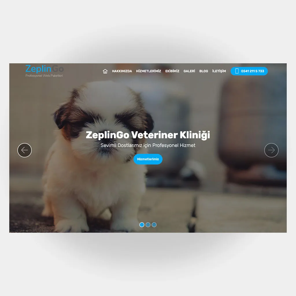 Veteriner Web Sitesi V4 ekran görüntüsü
