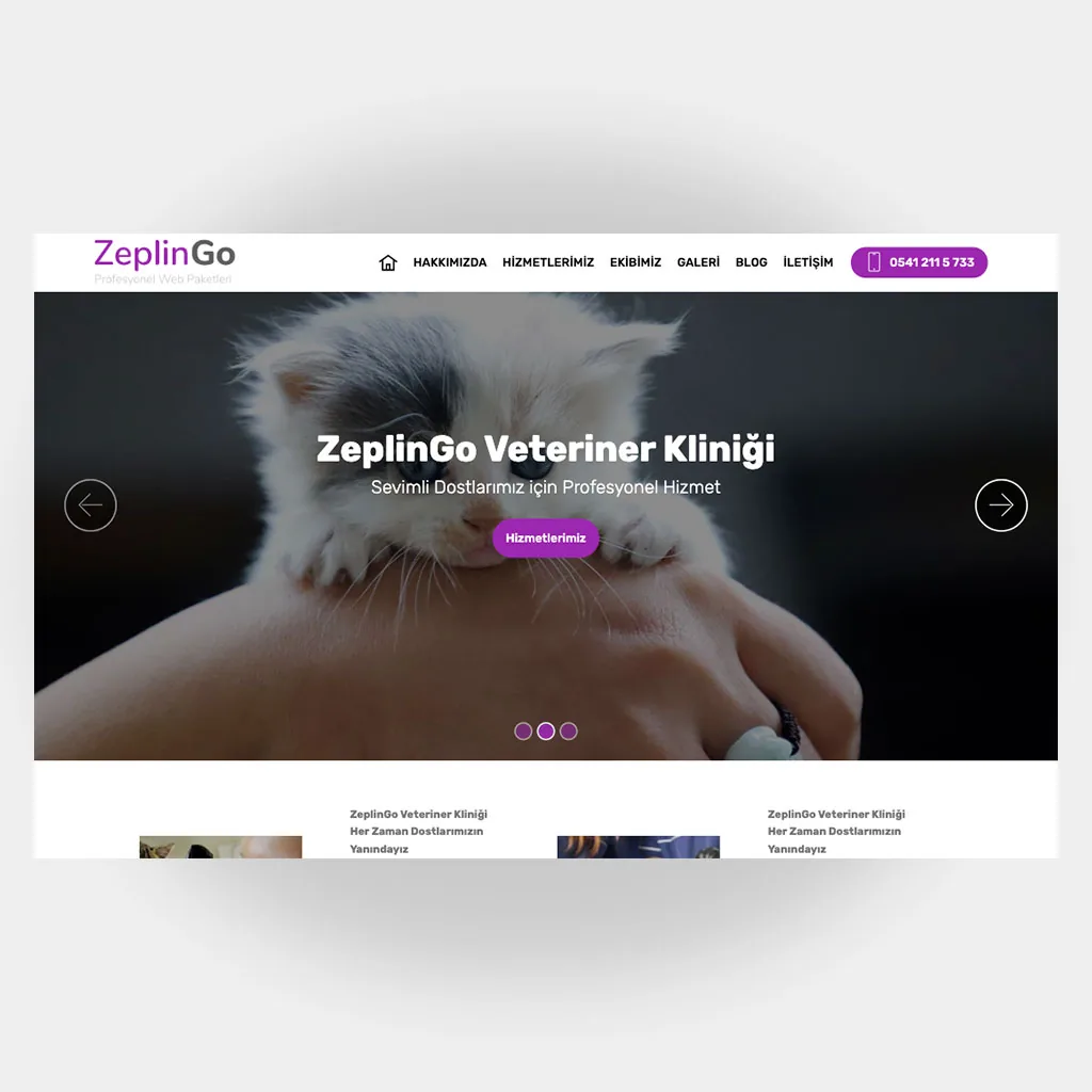 Veteriner Web Sitesi V5 tasarım önizlemesi