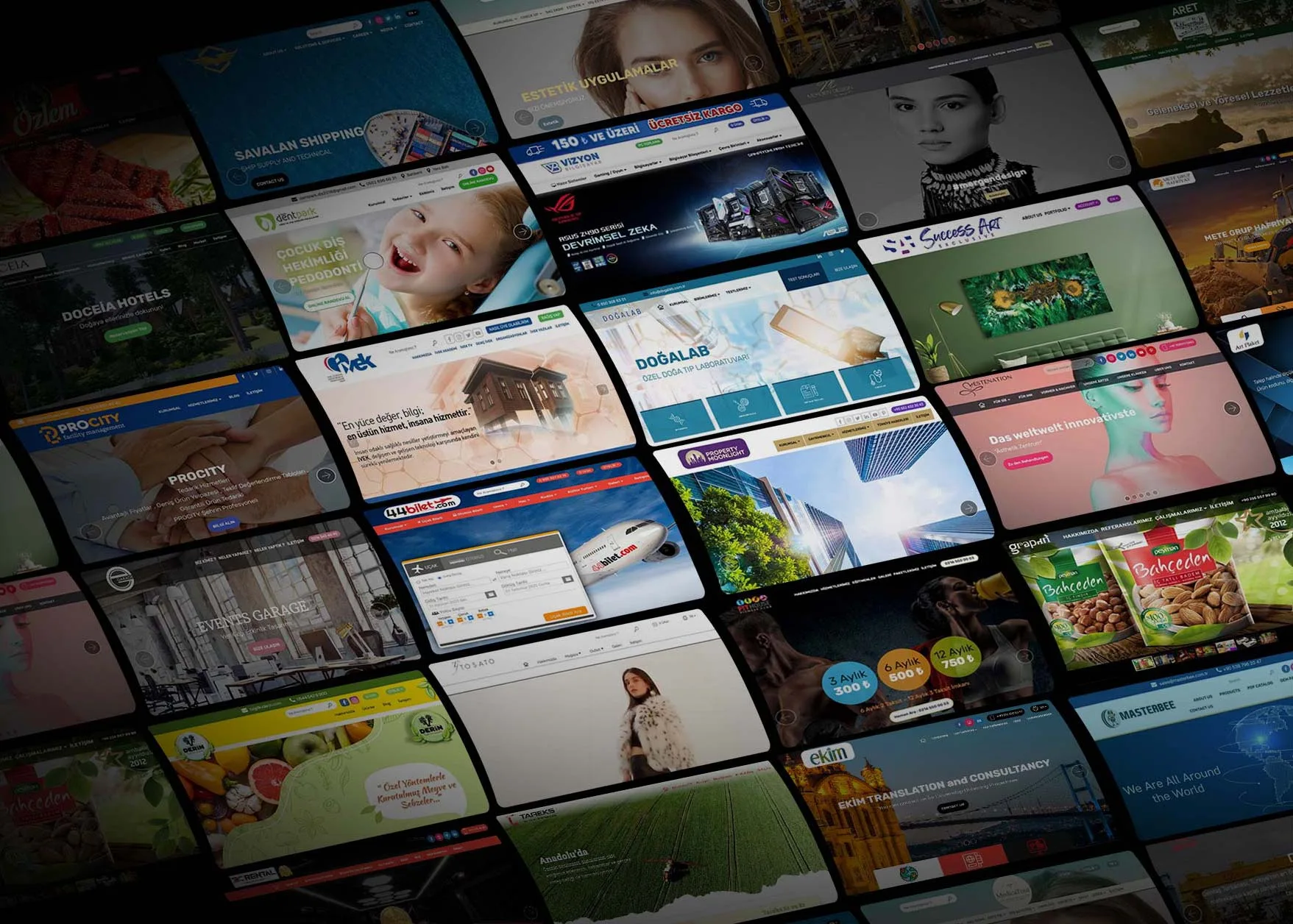 Web Sitesi Kurmak
