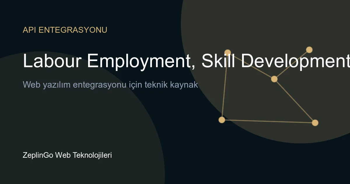 Mizoram LESDE API entegrasyonu ile dijital kamu hizmetleri
