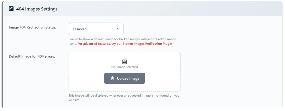 All 404 Redirect to Homepage ekran görüntüsü 2