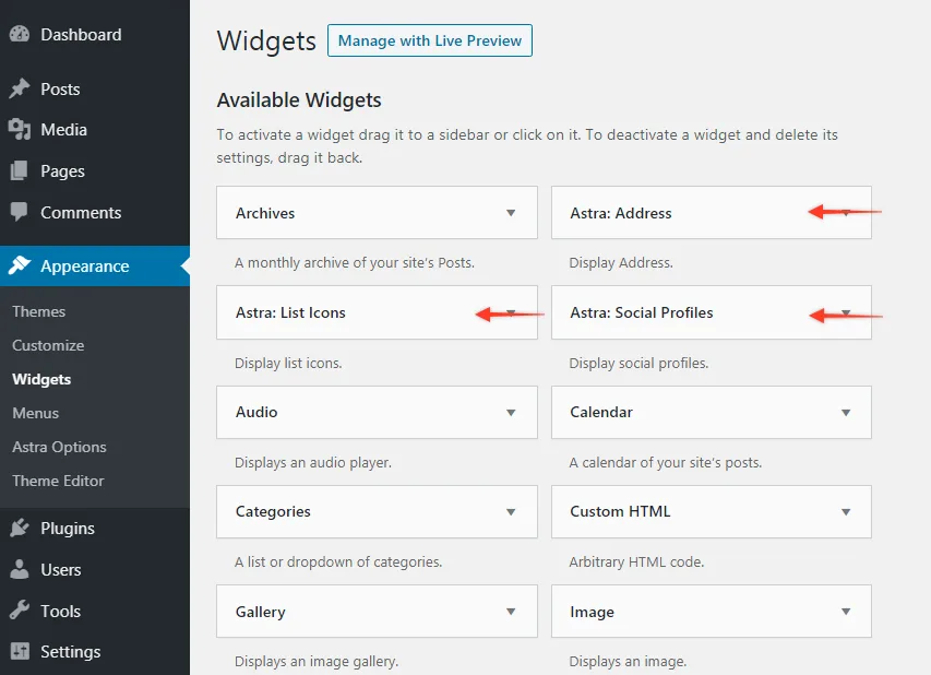 Astra Widgets ekran görüntüsü 1