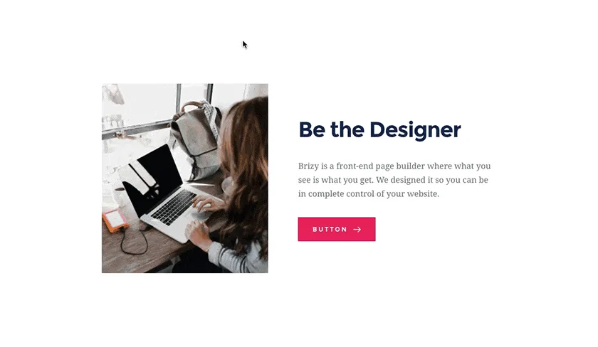 Brizy – Page Builder ekran görüntüsü 3
