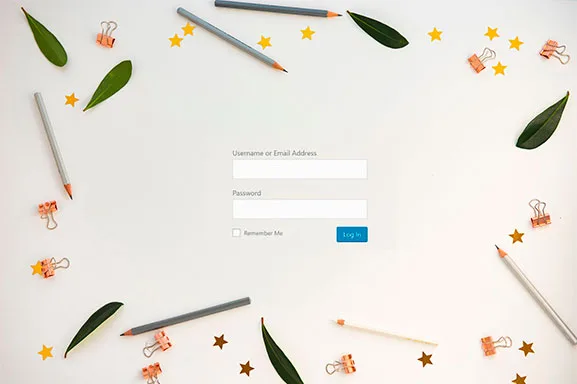 Custom Login Page Customizer ekran görüntüsü 2