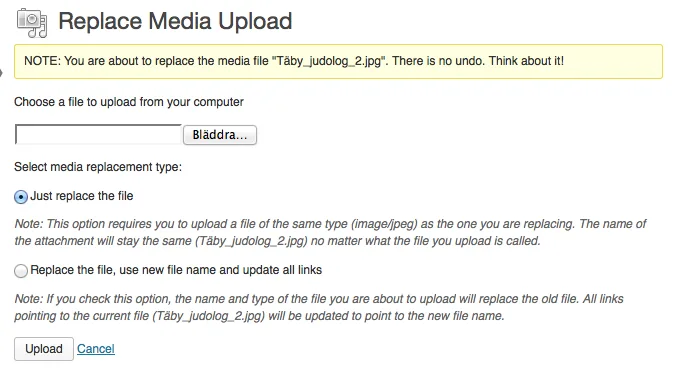 Enable Media Replace ekran görüntüsü 3