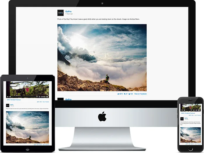 Feed Them Social – Social Media Feeds, Video, and Photo Galleries ekran görüntüsü 1