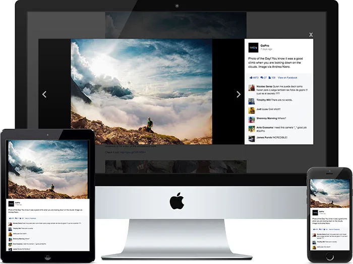 Feed Them Social – Social Media Feeds, Video, and Photo Galleries ekran görüntüsü 2