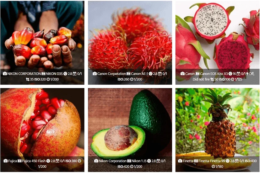 Photo Gallery – Responsive Image Galleries by Supsystic ekran görüntüsü 1