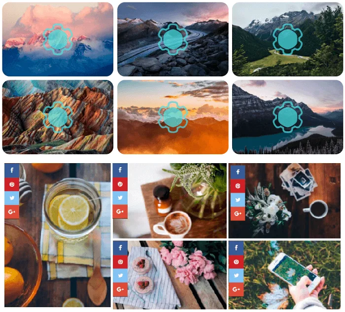 Photo Gallery – Responsive Image Galleries by Supsystic ekran görüntüsü 4