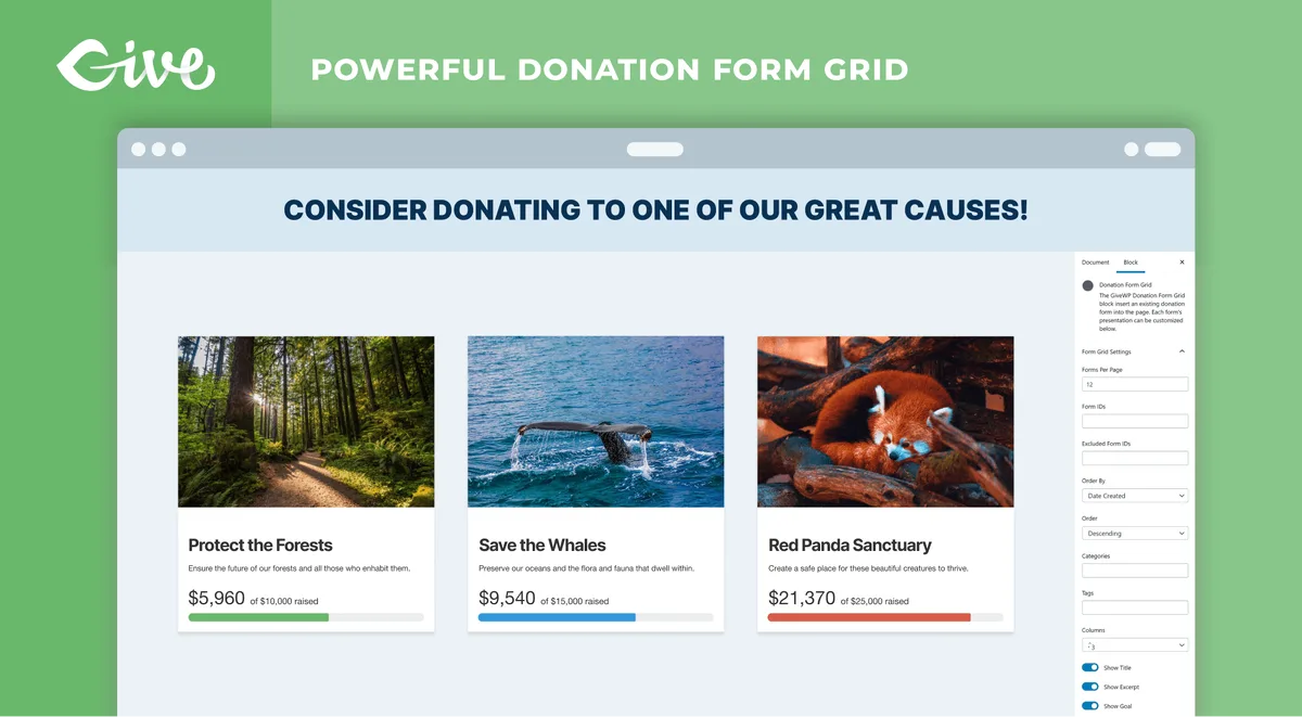 GiveWP – Donation Plugin and Fundraising Platform ekran görüntüsü 3