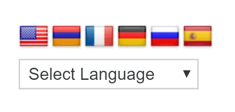 Translate WordPress – Google Language Translator ekran görüntüsü 3