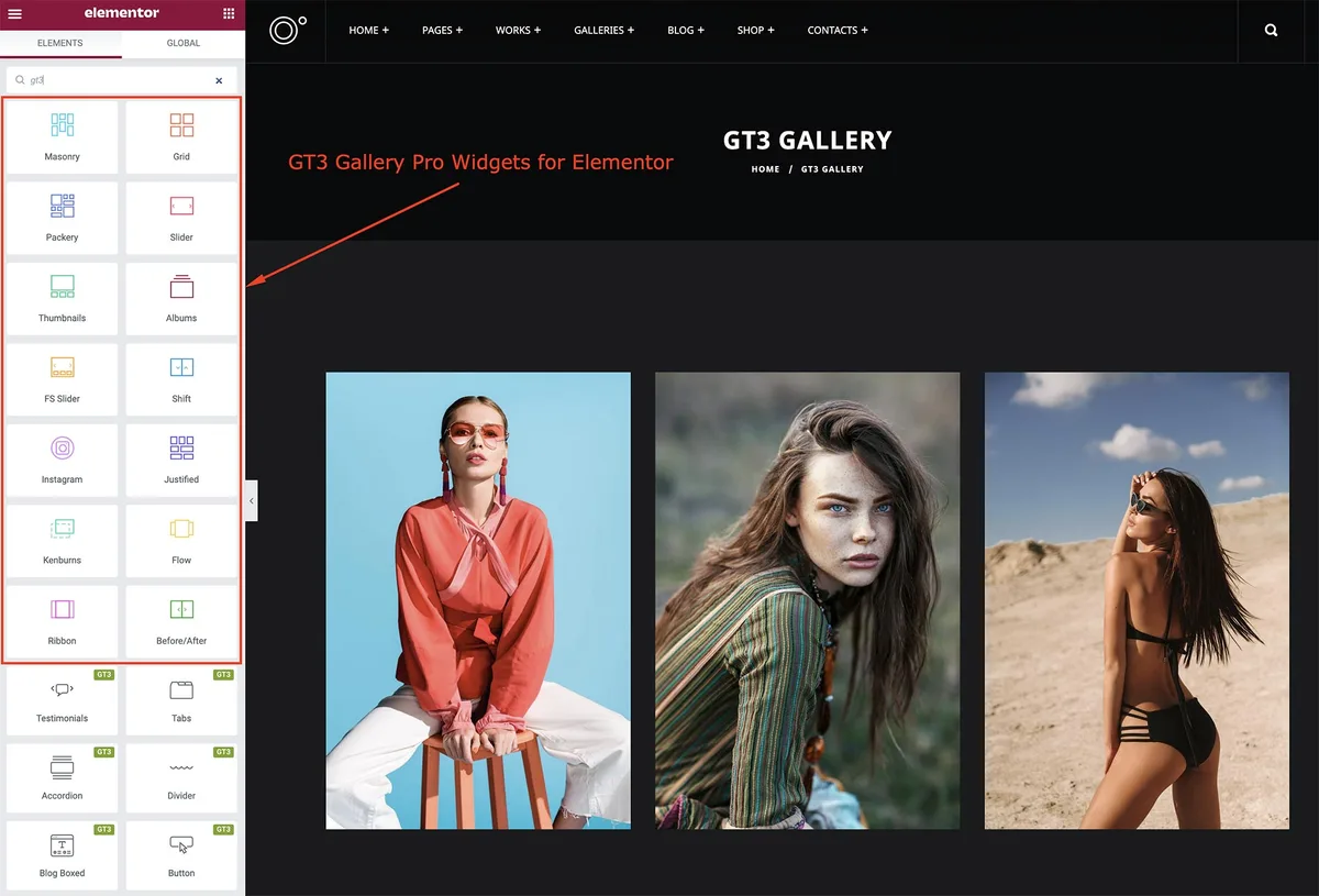 Photo Gallery – GT3 Image Gallery & Gutenberg Block Gallery ekran görüntüsü 2