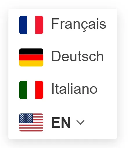 Translate WordPress with GTranslate ekran görüntüsü 1
