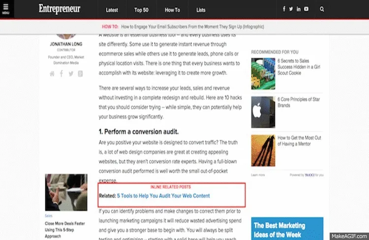 Inline Related Posts ekran görüntüsü 1