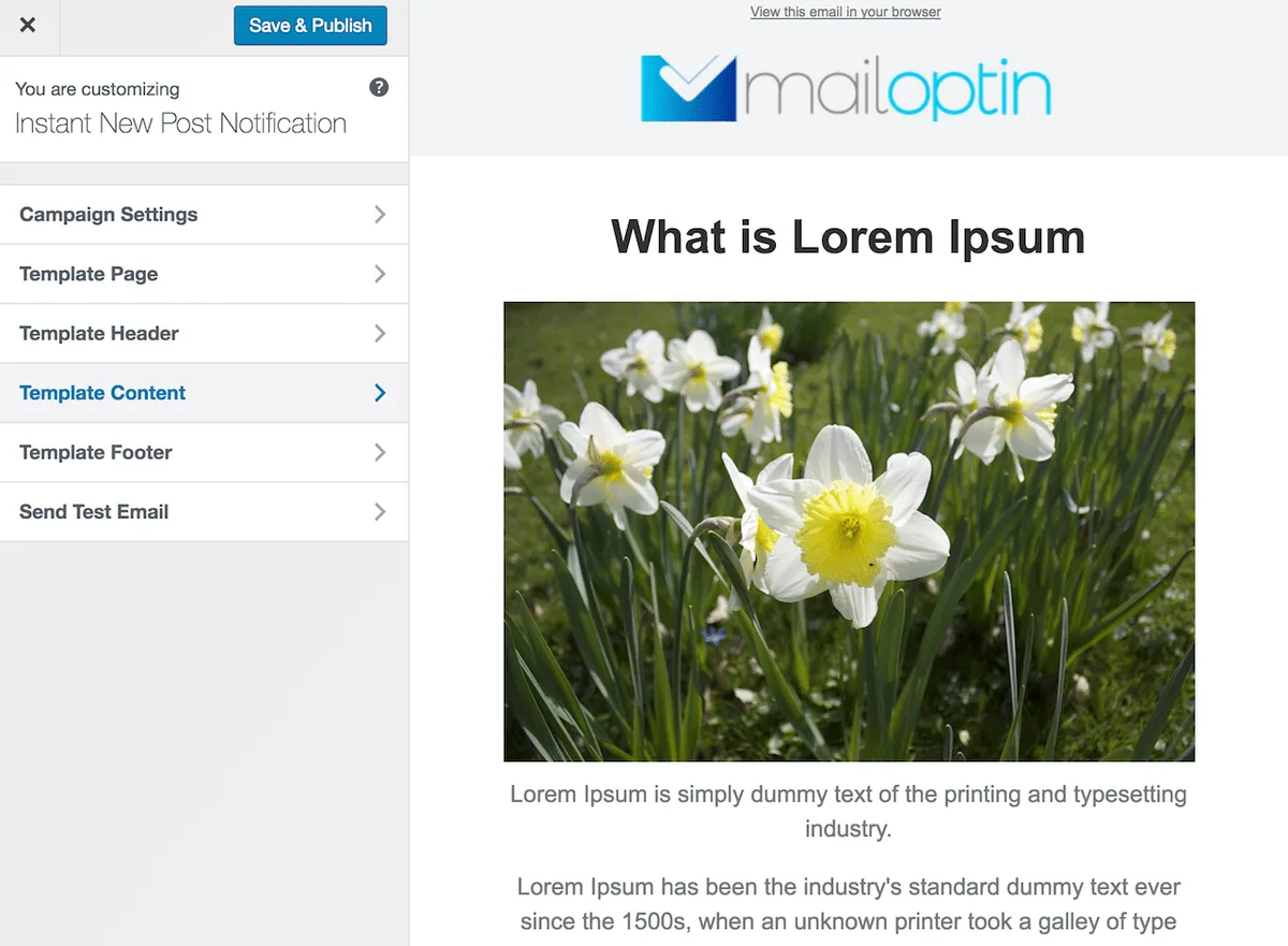 MailOptin – Popup, Optin Forms & Email Newsletters for Mailchimp, HubSpot, AWeber Etc. ekran görüntüsü 2