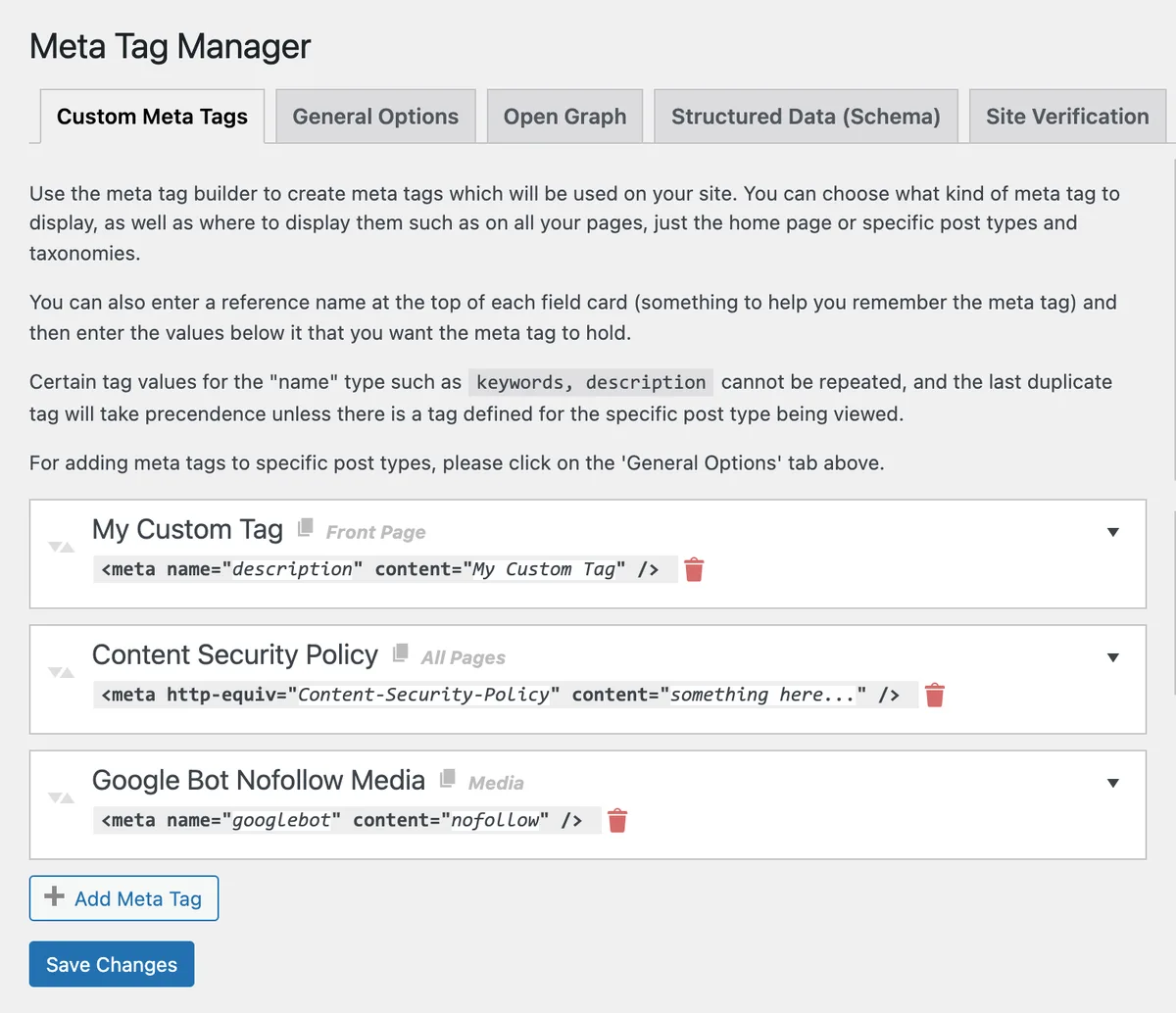 Meta Tag Manager ekran görüntüsü 2