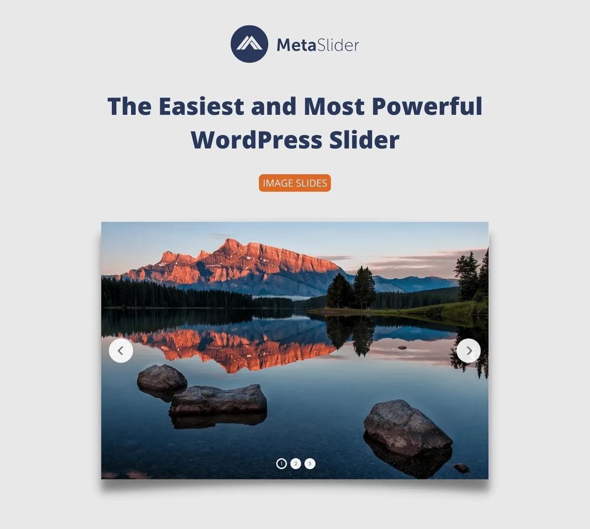Slider, Gallery, and Carousel by MetaSlider – Image Slider, Video Slider ekran görüntüsü 1