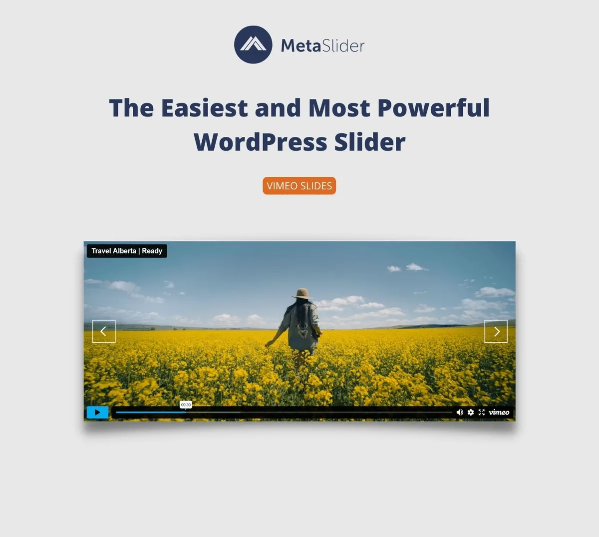 Slider, Gallery, and Carousel by MetaSlider – Image Slider, Video Slider ekran görüntüsü 4