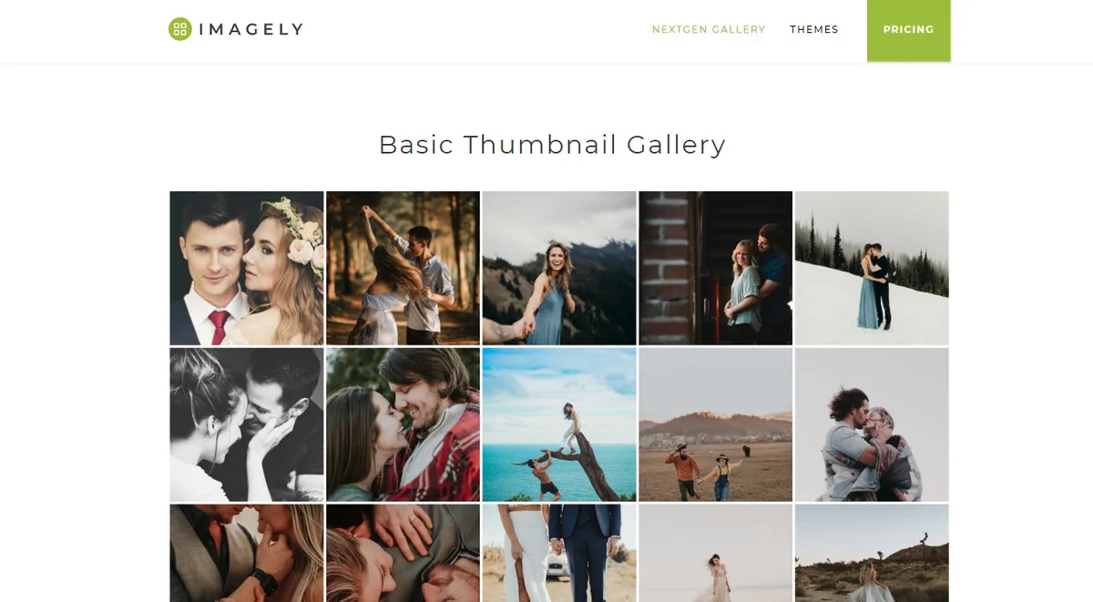 Photo Gallery, Sliders, Proofing and Themes – NextGEN Gallery ekran görüntüsü 1