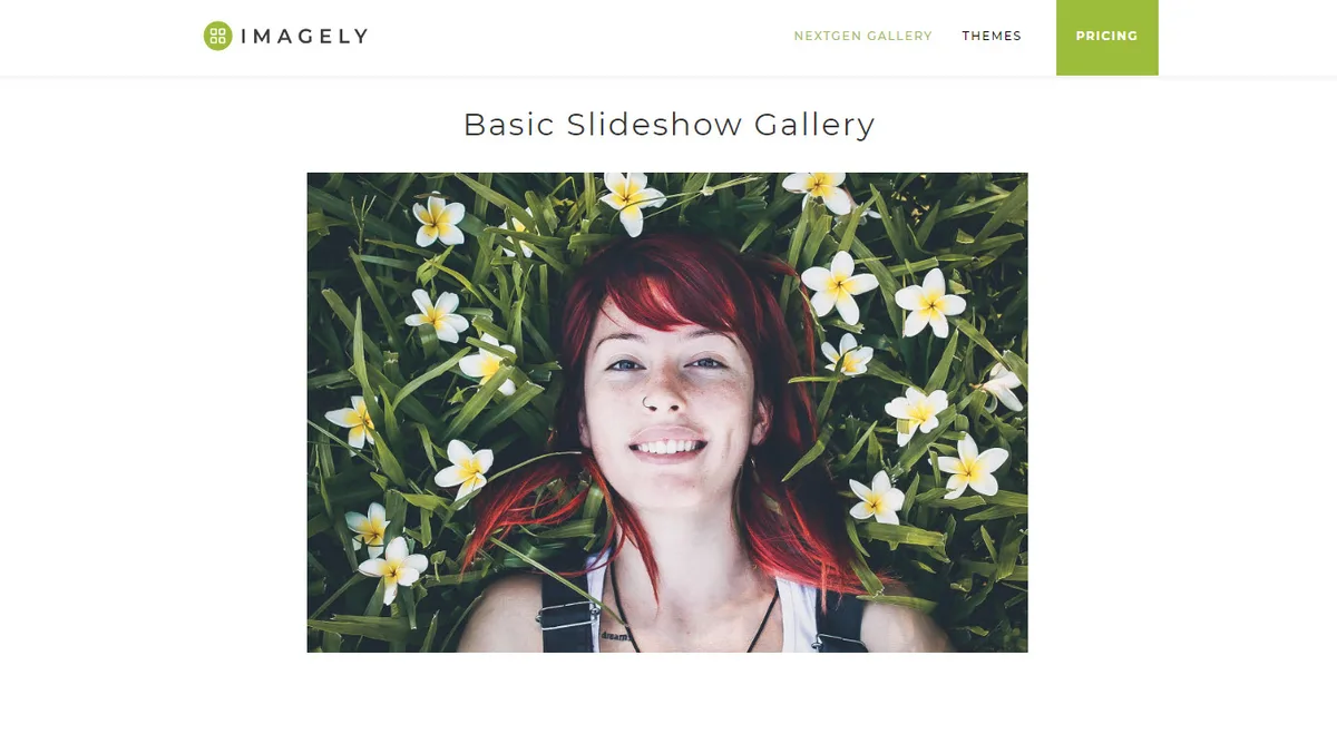 Photo Gallery, Sliders, Proofing and Themes – NextGEN Gallery ekran görüntüsü 2