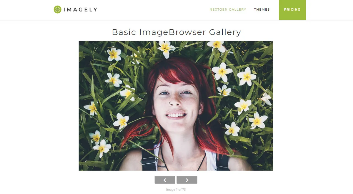 Photo Gallery, Sliders, Proofing and Themes – NextGEN Gallery ekran görüntüsü 3