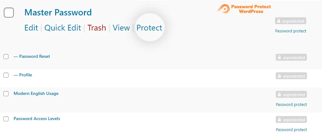 PPWP – Password Protect Pages ekran görüntüsü 2