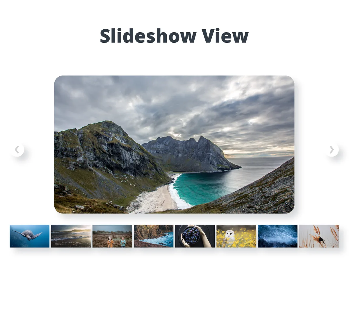 Photo Gallery by 10Web – Mobile-Friendly Image Gallery ekran görüntüsü 1