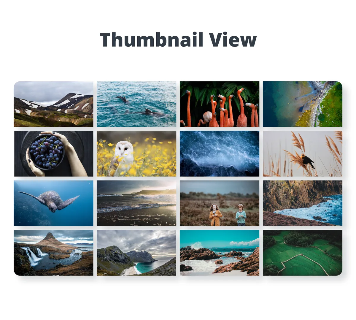 Photo Gallery by 10Web – Mobile-Friendly Image Gallery ekran görüntüsü 2