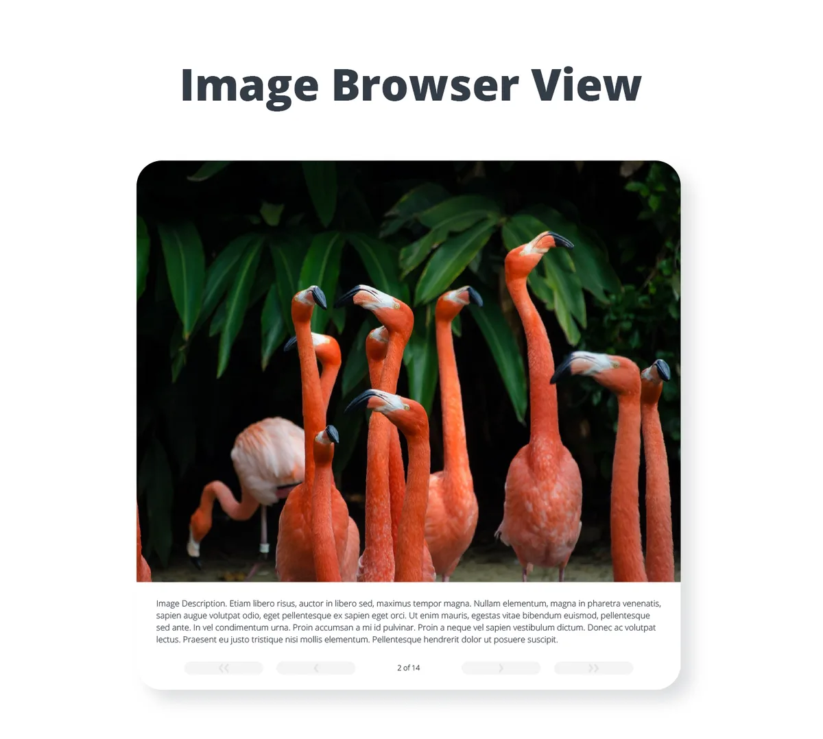 Photo Gallery by 10Web – Mobile-Friendly Image Gallery ekran görüntüsü 3