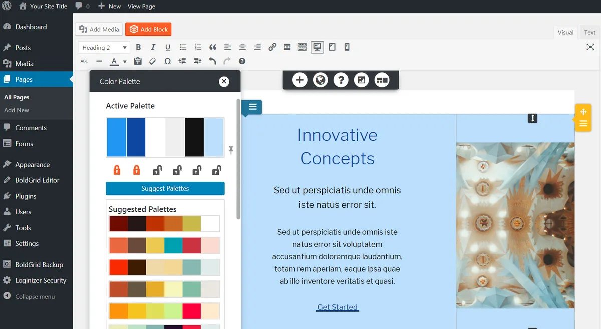 Post and Page Builder by BoldGrid – Visual Drag and Drop Editor ekran görüntüsü 2