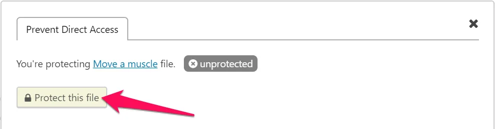 Prevent Direct Access – Protect WordPress Files ekran görüntüsü 4