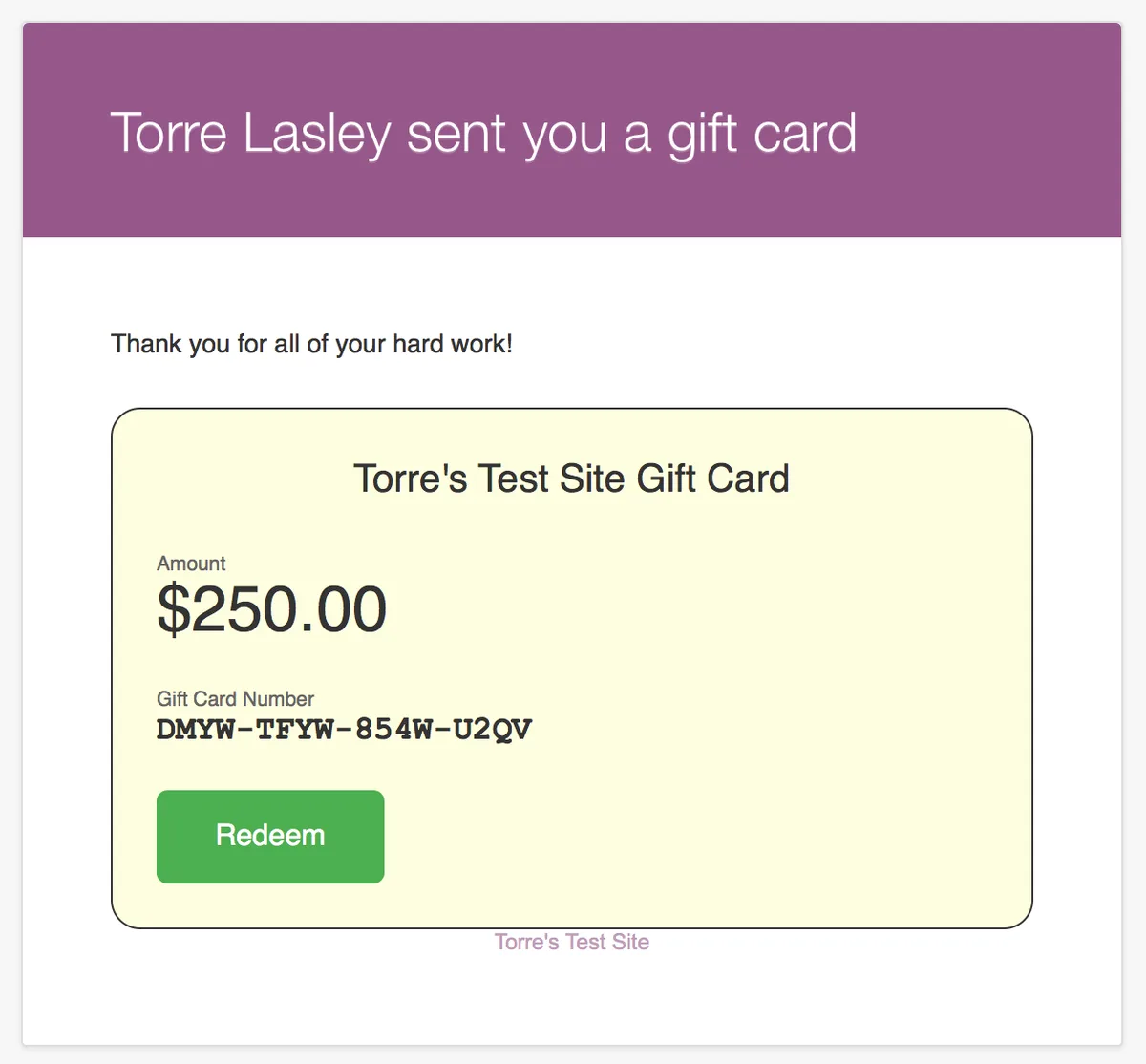 PW WooCommerce Gift Cards ekran görüntüsü 2