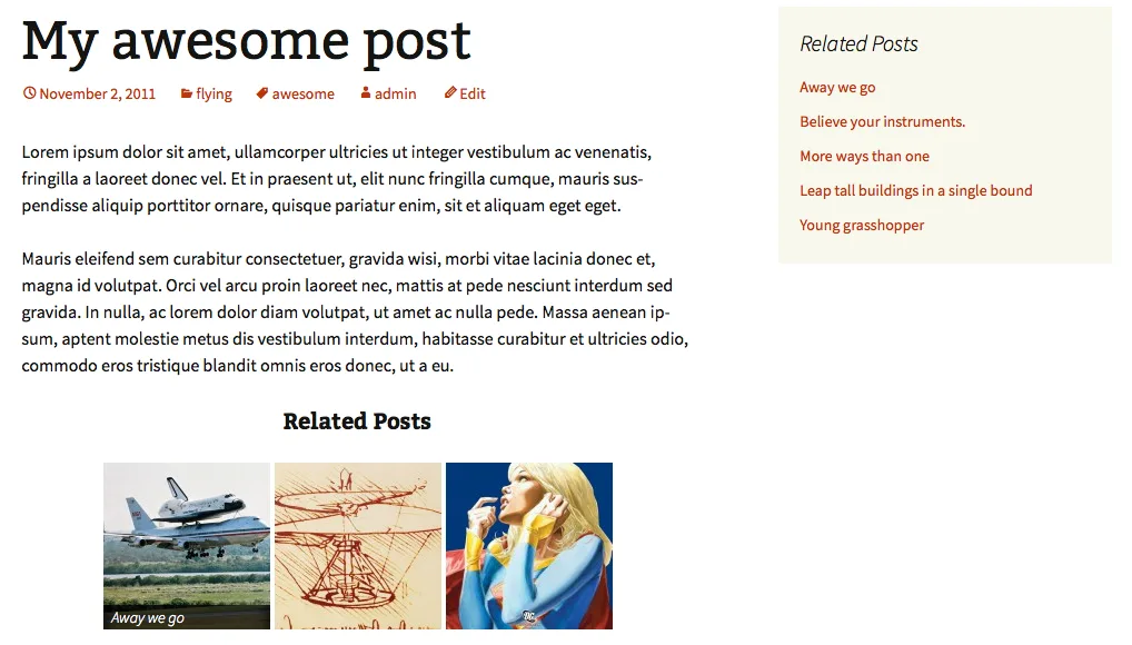 Related Posts by Taxonomy ekran görüntüsü 4